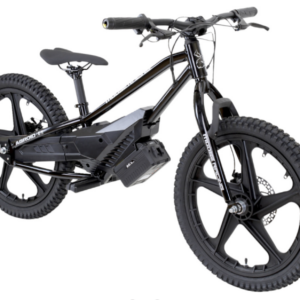 Agroid RS-20 Balance E-Bike